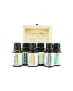 Essential Oil Cleaning Set